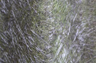 Lynstone fibreglass roof work